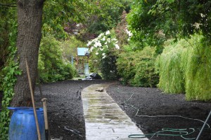 Preparing the garden